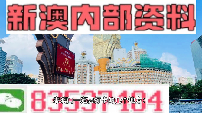 新澳2024-2025年今晚开奖资料详解，精选解析与落实策略