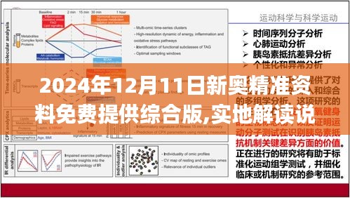 2025正版资料免费公开-使用释义解释与落实