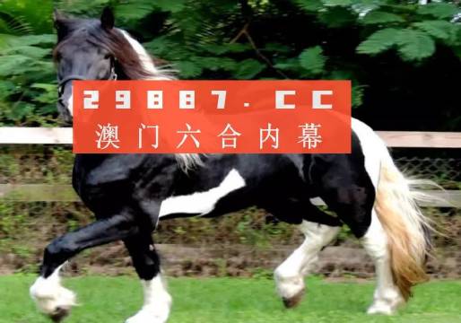 澳门和香港精准一肖一码一一中,精选解析解释落实|最佳精选